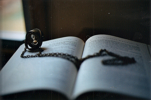 prettybooks: (by voldy92) 