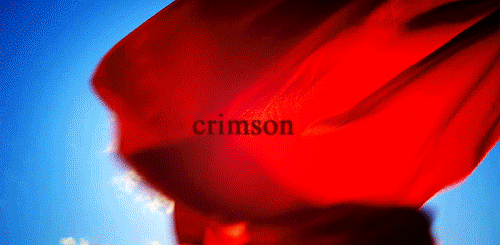 bowtieatthedisco: crimson · eleven · delight · the smell of dust after rain 