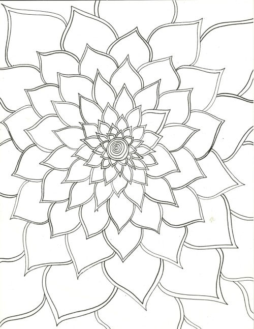 flower drawing on Tumblr