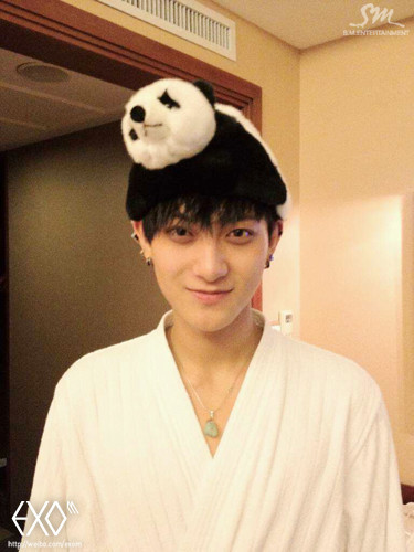 Is there any other panda in kpop - Random - OneHallyu