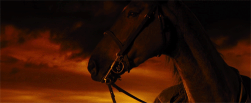 war horse gifs | WiffleGif