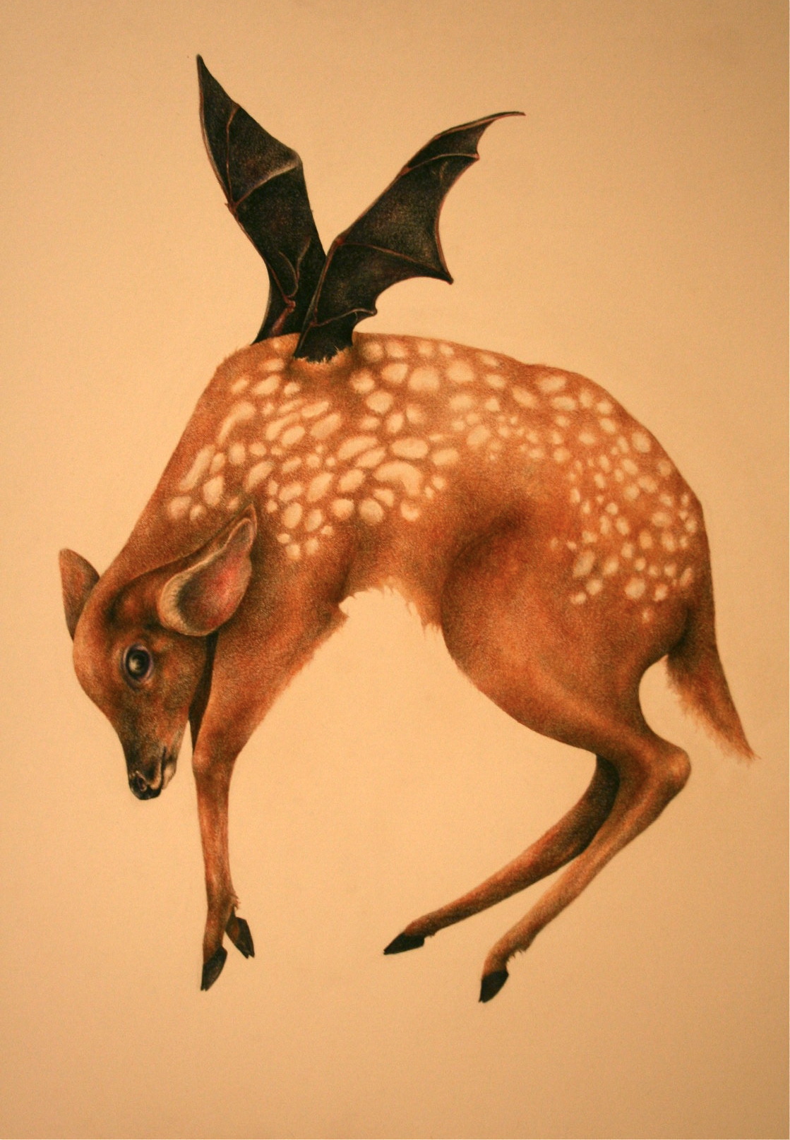 &#8220;Flying Fawn&#8221; by Tori Schaus ~ color pencil ~ 24&#8221;x36&#8221;