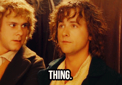 lord of the rings LOTR Peregrin Took gandalf Pippin 1000 notes gifs by myla OH MY GOD THE QUEST ISN