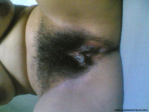 Indonesian Hairy Pussy 28873 Hairyasians Indonesian Wife A