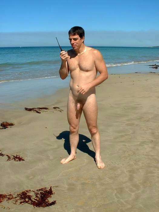 Cock On The Beach