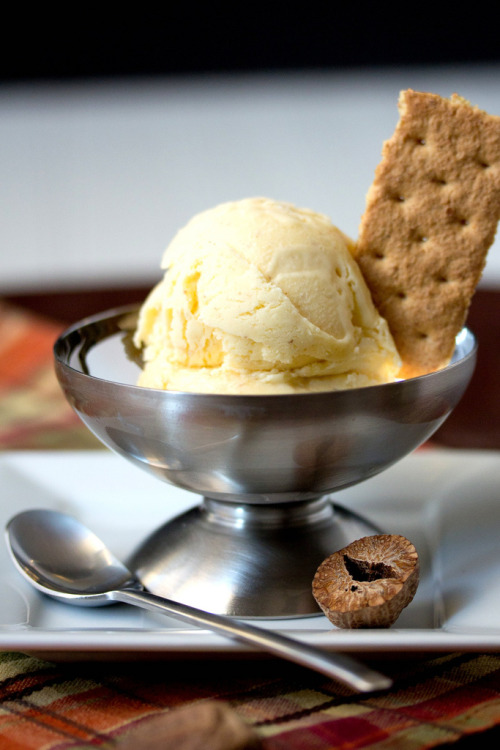 fooderific: omnommy: Мускатный орех мороженое. найти более аппетитные угощения и рецепты здесь! 
