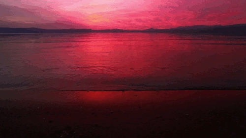 pink sunset gif