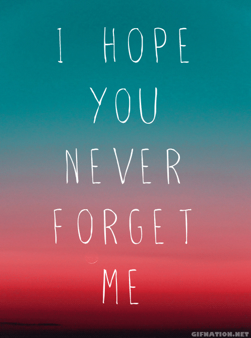 .cause i will never ever forget you