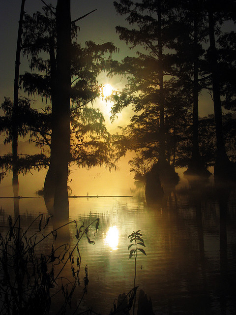 visitheworld: Morning at Bluff Lake, Noxubee National Wildlife Refuge, Mississippi, USA (by Roger Smith). 