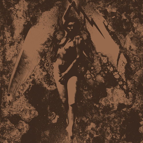 Converge & Napalm Death - Split (2012)