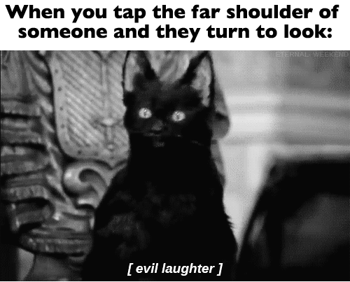 evil laugh black cat gif WiffleGif