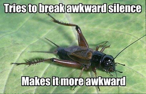 LOL funny animals photo meme silence Awkward cricket awkward silence  crickets catch7 •