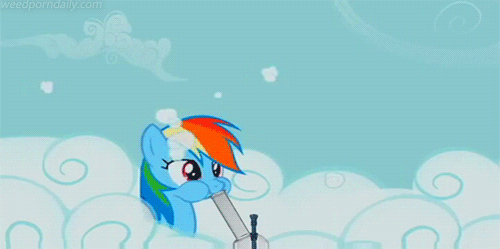 my little pony rainbow dash gif  WiffleGif