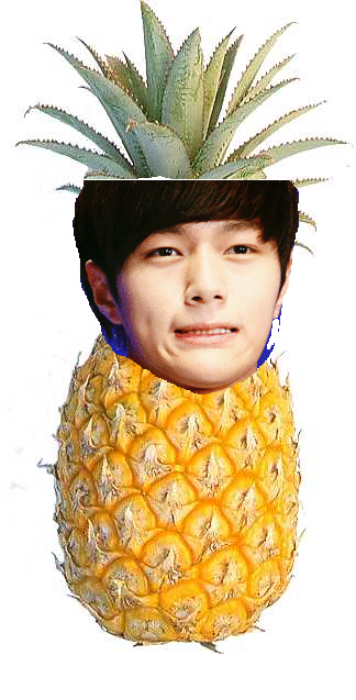 sungjong's vision of myunggie