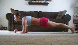 low plank dips