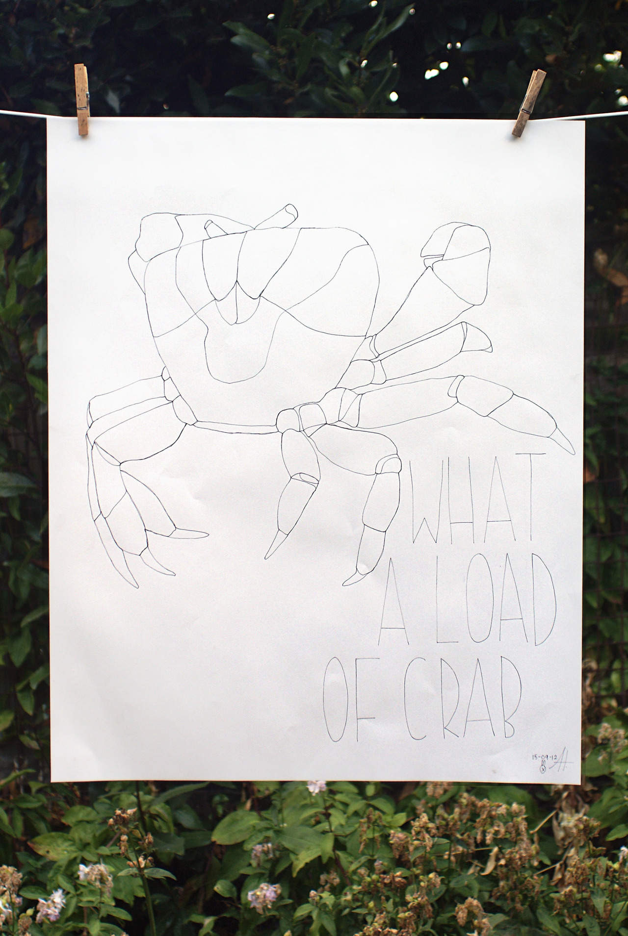 What a load of crab; from the series Animal Behaviour.