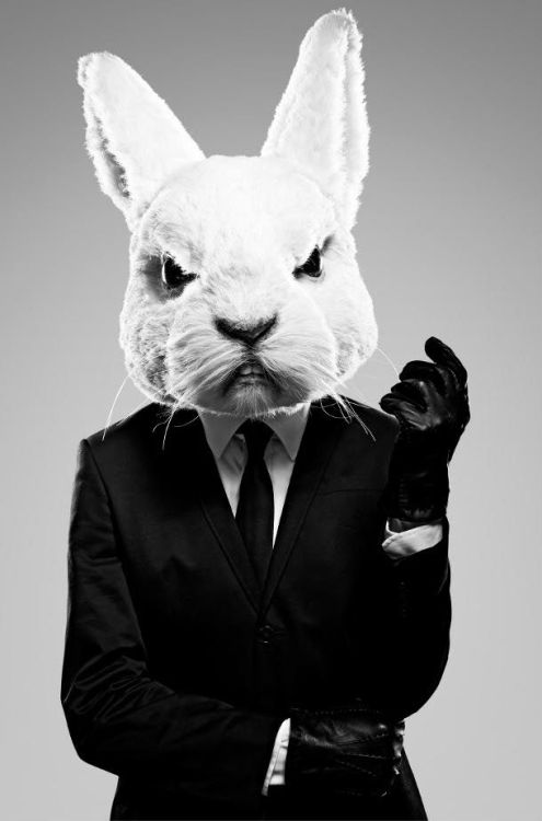 Man In White Rabbit Costume Porn 44